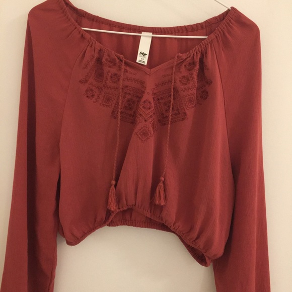 Long sleeve embroidered crop top - Picture 1 of 4